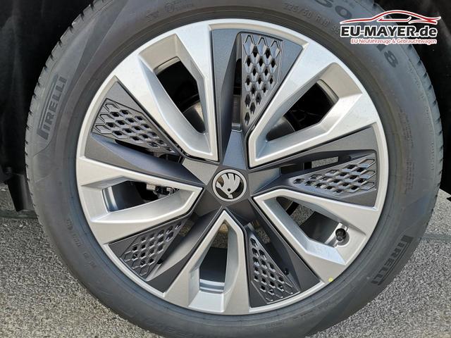 Skoda Karoq Selection 2.0 TDI DSG 4x4 GV5 AHK 18 Ladeb 