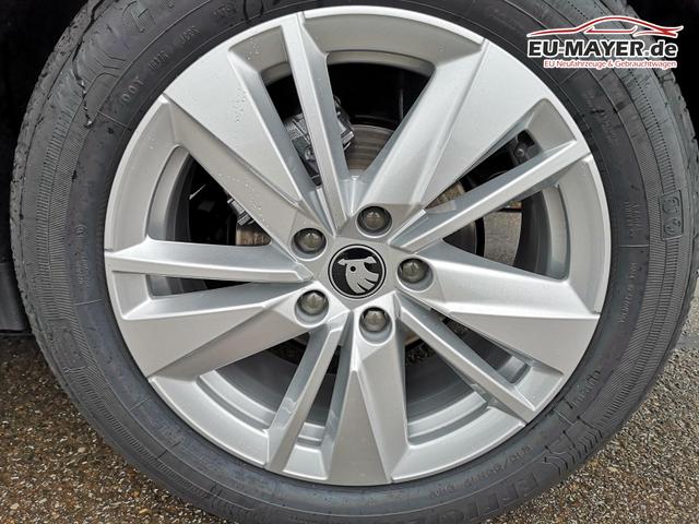 Skoda Karoq Selection 2.0 TDI DSG GV5 AHK 17 