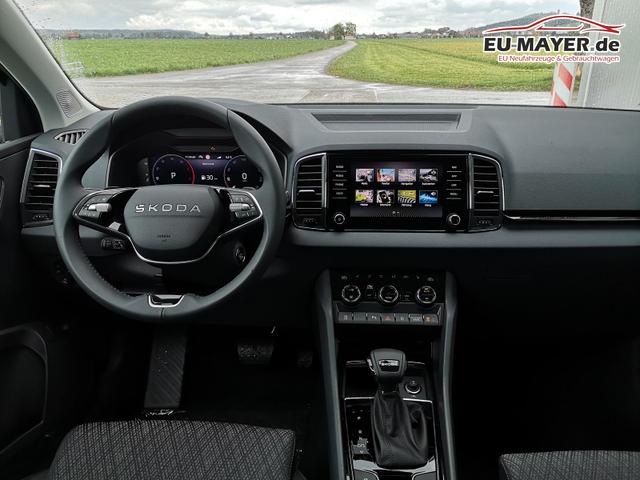 Skoda Karoq Selection 2.0 TDI DSG GV5 AHK 17 Ladeb 