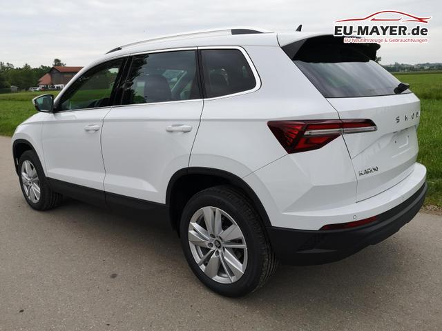 Skoda Karoq Selection 2.0 TDI DSG GV5 AHK 17 Ladeb 