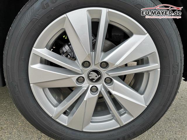 Skoda Karoq Selection 2.0 TDI DSG GV5 AHK 17 Ladeb 