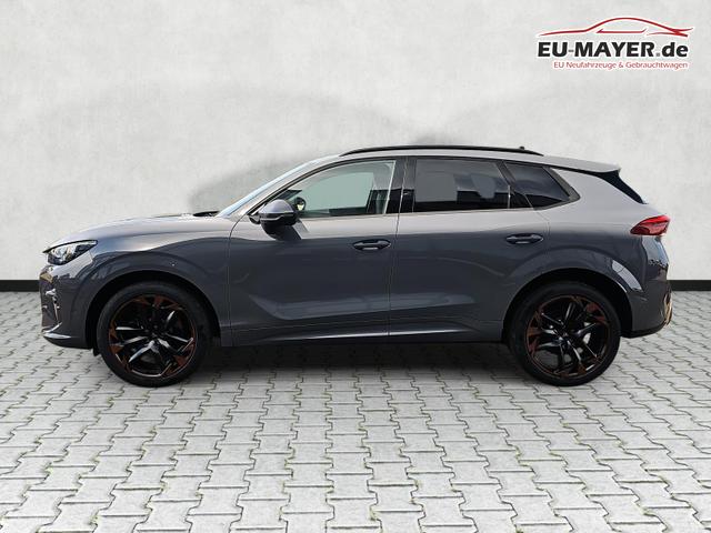 Cupra Terramar 2.0 TSI 195 kW 4Drive VZ DSG Matrix Pano Vortex 
