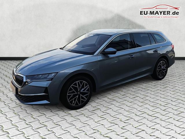Skoda Octavia Combi 2.0 TDI 110 kW Selection DSG ACC Navi AHK 