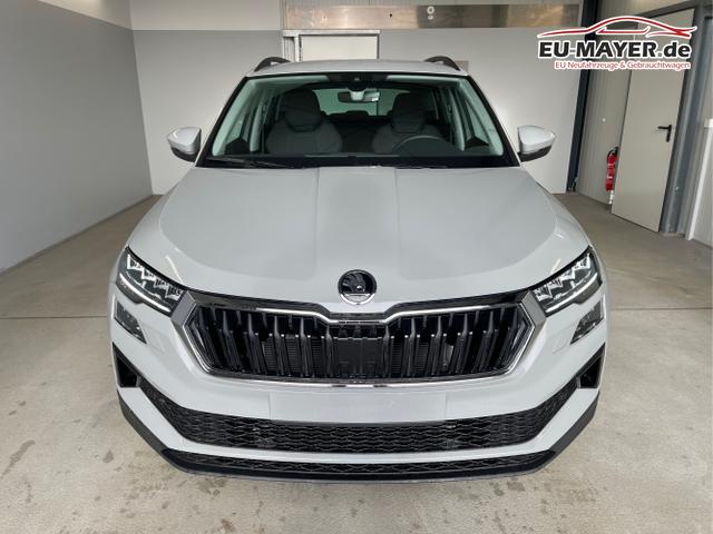 Skoda / Karoq / Grau / / / 150PS DSG AHK+Kamera+ACC+Kessy+Kamera+ParkPilot vo+hi+App