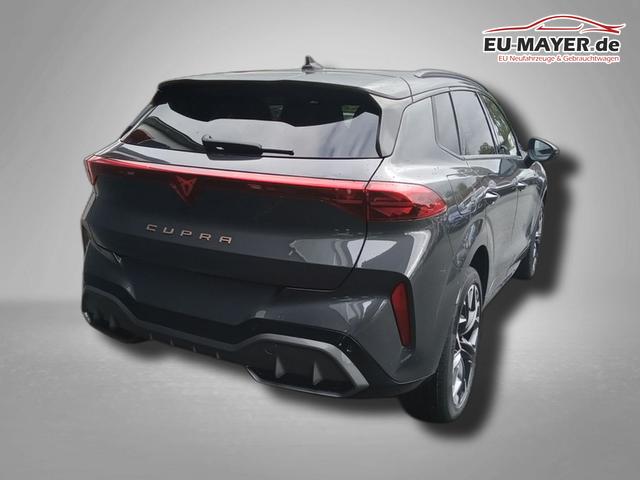 Cupra Terramar VZ 2.0 TSI 7-Gang-DSG 4Drive 
