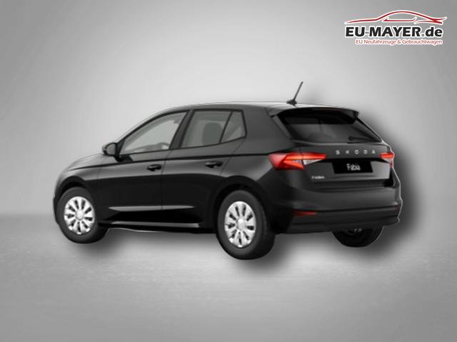 Skoda Fabia Selection 1.0 TSI 7-Gang-DSG 