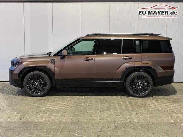 Hyundai SANTA FE PHEV Black Line 4WD 7-Sitzer / 4x Shz + Sitzbel&uuml;ftung ACC Head-Up 360&deg; Kam. Leder Alu 20" 