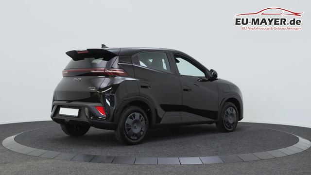 BYD Dolphin Surf Active 30 kWh / Navi ACC PDC H + Kamera Klimaautomatik 