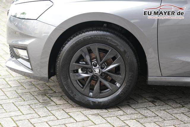 Skoda Fabia Top Selection Grau 