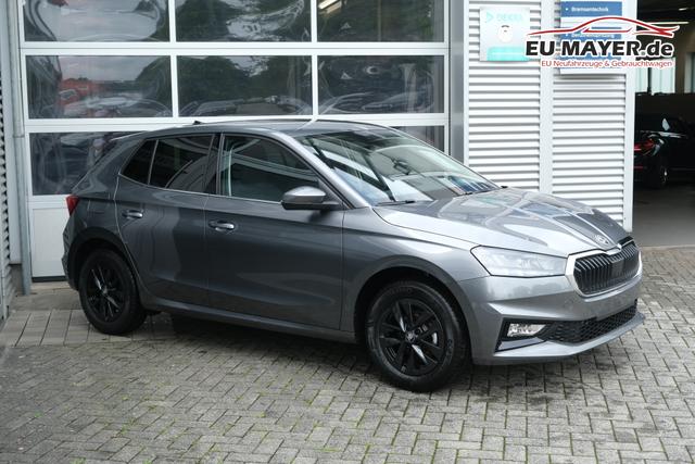 Skoda Fabia Top Selection Grau 