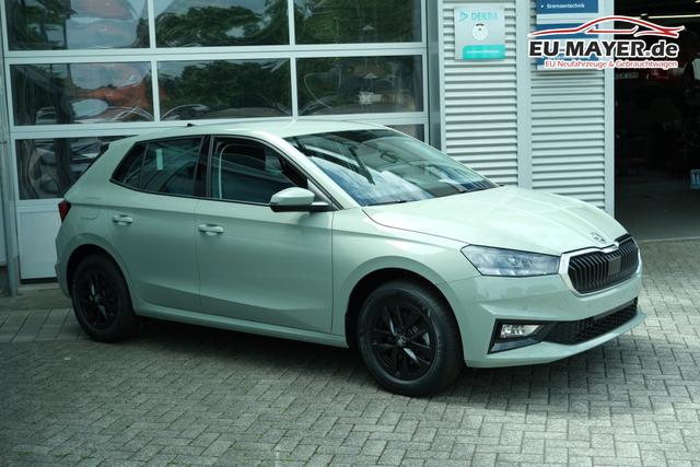Skoda Fabia Selection 1.0 TSI DSG LED Kamera App-Navi PDC Winterpaket 