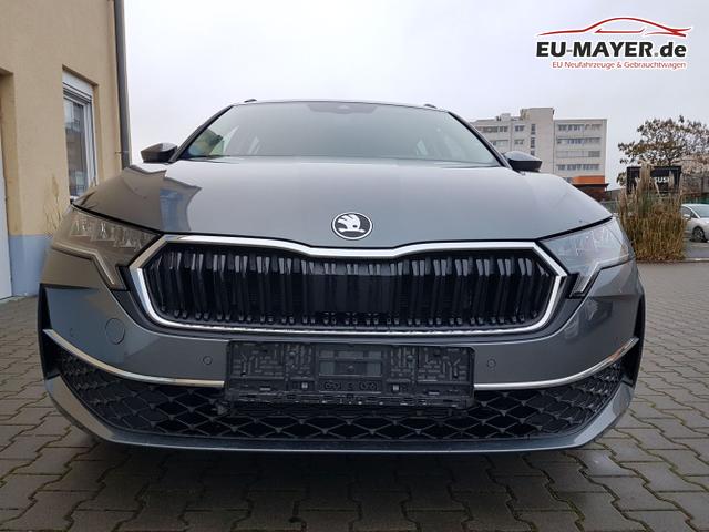 Skoda / Octavia / Grau / Selection / / 
