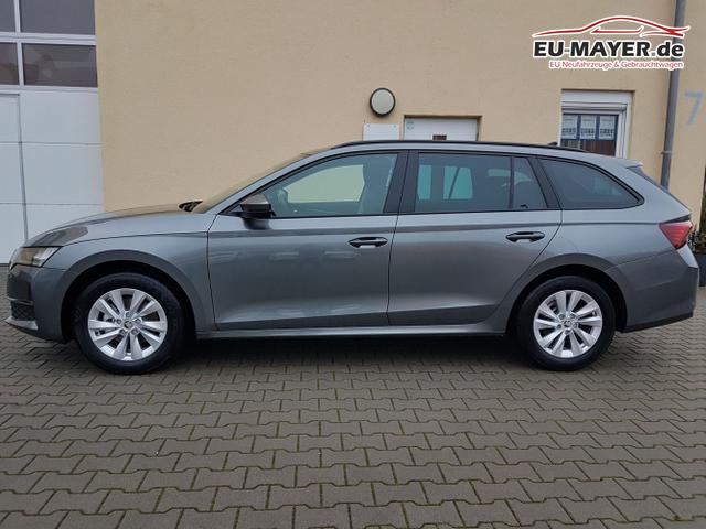 Skoda / Octavia / Grau / Selection / / 