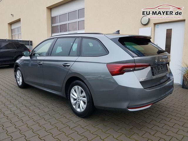 Skoda / Octavia / Grau / Selection / / 