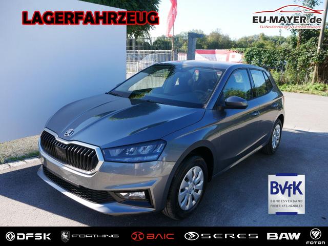 Skoda Fabia - Selection 1.0 TSI *NAVI-&Uuml;BER-SMARTLINK*PDC-HI*LED*SHZ*KLIMA*RADIO