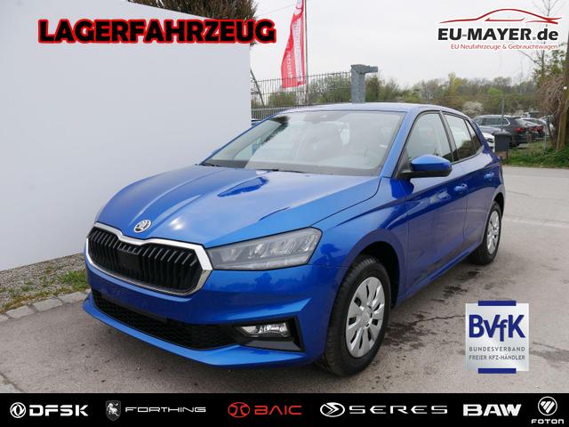Skoda Fabia - Selection 1.0 TSI DSG*NAVI-&Uuml;BER-SMARTLINK*LED*PDC-HI*SHZ*DAB*KLIMA