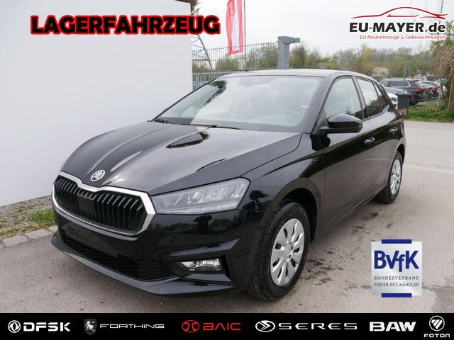 Skoda Fabia - Selection 1.0 TSI DSG*NAVI-&Uuml;BER-SMARTLINK*LED*PDC-HI*SHZ*DAB*KLIMA