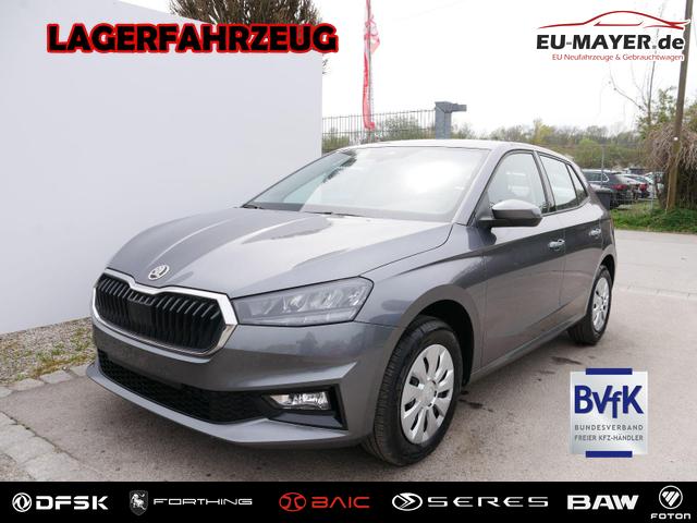 Skoda Fabia - Selection 1.0 TSI DSG*NAVI-&Uuml;BER-SMARTLINK*LED*PDC-HI*SHZ*DAB*KLIMA