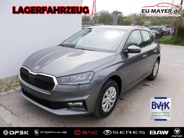 Skoda Fabia - Selection 1.0 TSI DSG*NAVI-&Uuml;BER-SMARTLINK*LED*PDC-HI*SHZ*DAB*KLIMA