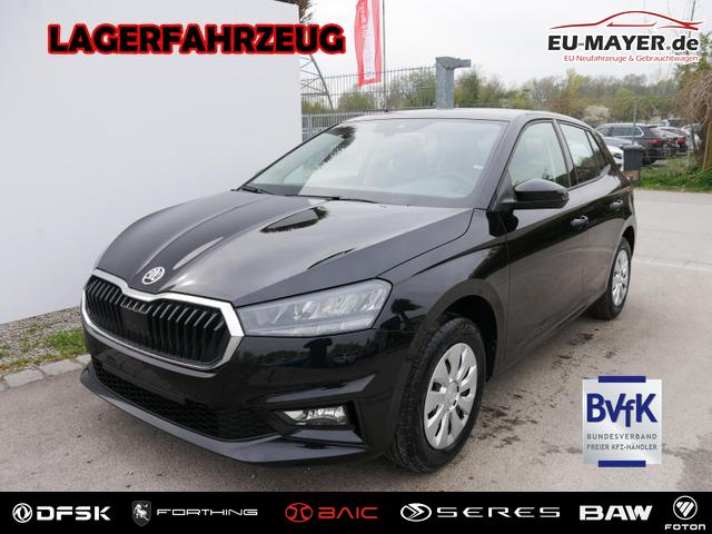 Skoda Fabia - Selection 1.0 TSI DSG*NAVI-&Uuml;BER-SMARTLINK*LED*PDC-HI*SHZ*DAB*KLIMA