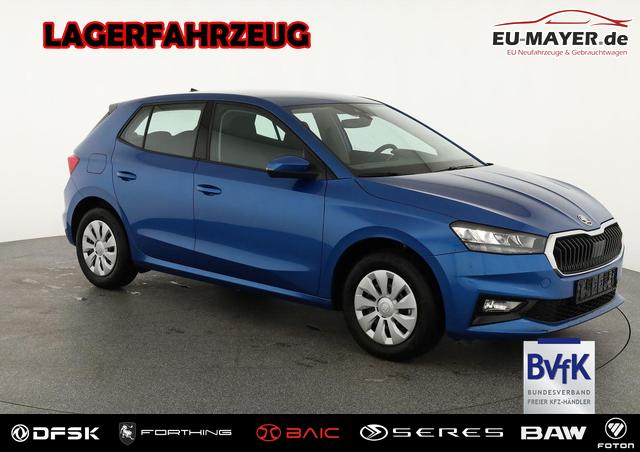 Skoda Fabia - Selection 1.0 TSI Selection, Ladeboden, Park, Winterpaket, SmartLink, 4-J Garantie
