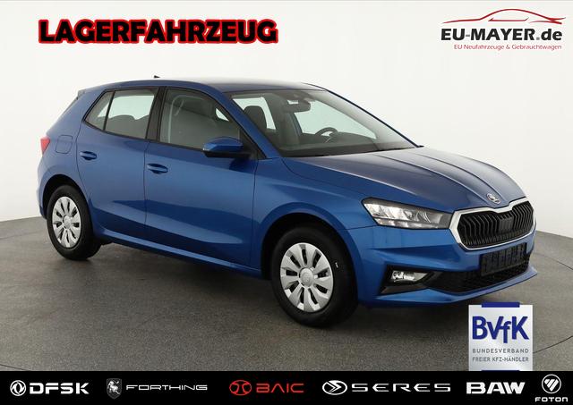 Skoda Fabia - Selection 1.0 TSI Selection, Tempomat, Ladeboden, Park, Winterpaket, SmartLink, 4-J Garantie
