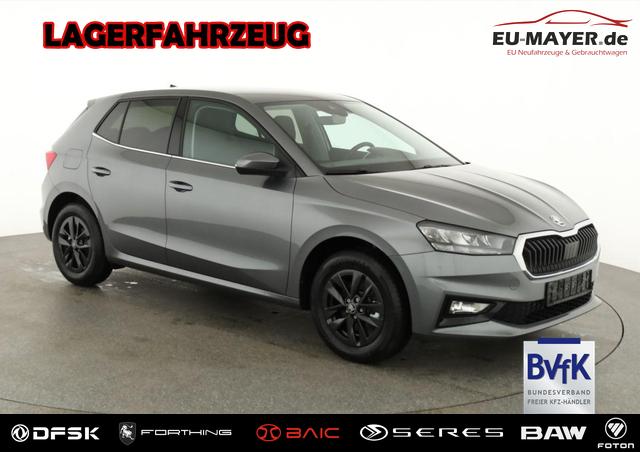 Skoda Fabia - Selection 1.0 TSI DSG Selection, 15-Zoll schwarz, Winter, Ladeboden