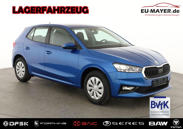 Skoda Fabia - Selection 1.0 TSI Selection, Tempomat, Park, Winterpaket, SmartLink, 4 J.-Garantie
