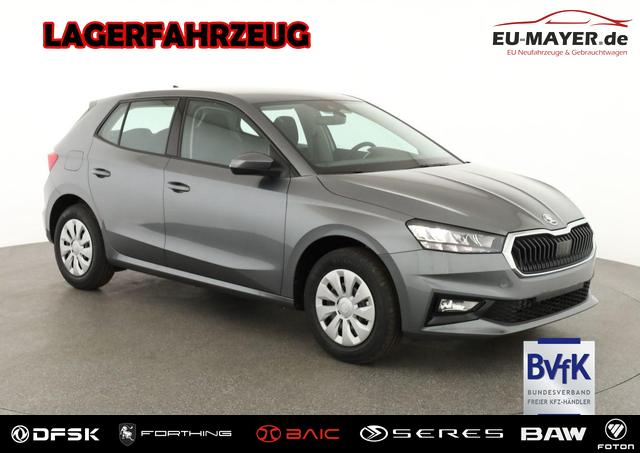 Skoda Fabia - Selection 1.0 TSI Selection, Ladeboden, Park, Winterpaket, SmartLink, 4 J.-Garantie