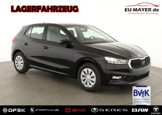 Skoda Fabia - Selection 1.0 TSI Selection, Ladeboden, Park, Winterpaket, SmartLink, 4 J.-Garantie