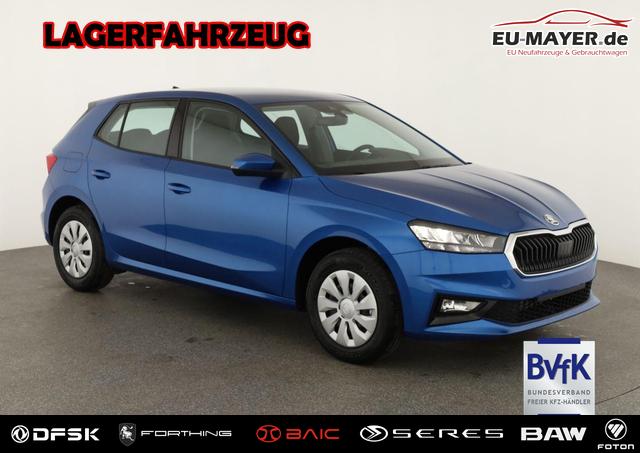 Skoda Fabia - Selection 1.0 TSI Selection, Ladeboden, Park, Winterpaket, SmartLink, 4 J.-Garantie