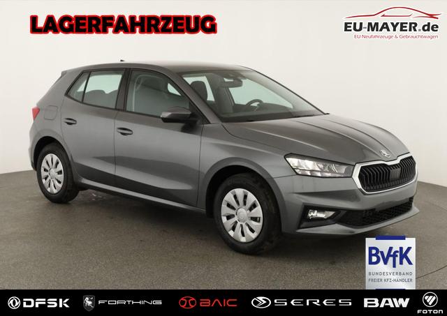 Skoda Fabia - Selection 1.0 TSI Selection, Tempomat, Park, Winterpaket, SmartLink, 4 J.-Garantie