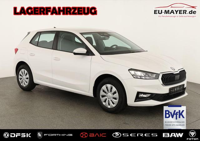 Skoda Fabia - Selection 1.0 TSI Selection, Tempomat, Park, Winterpaket, SmartLink, 4 J.-Garantie