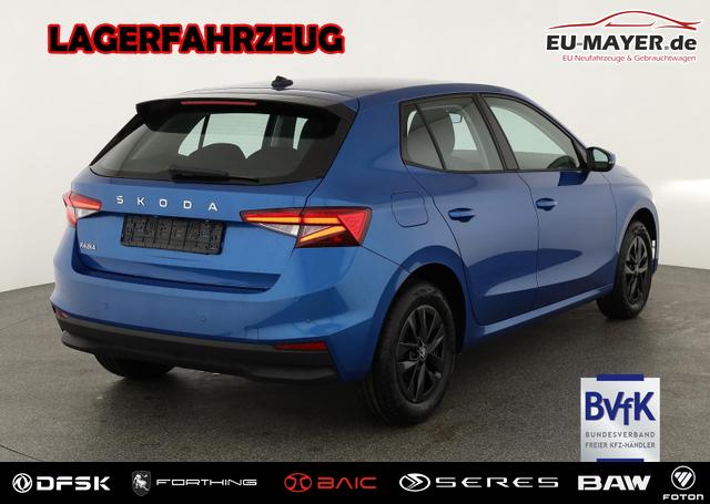 Skoda Fabia - Selection 1.0 TSI Selection, LED, Kamera, Winter, 5 J.-Garantie