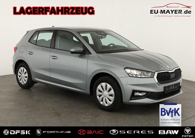 Skoda Fabia - Selection 1.0 TSI Selection, Tempomat, Ladeboden, Park, Winterpaket, SmartLink, 4-J Garantie