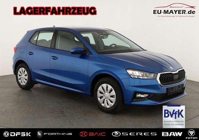 Skoda Fabia - Selection 1.0 TSI Selection, Tempomat, Ladeboden, Park, Winterpaket, SmartLink, 4-J Garantie