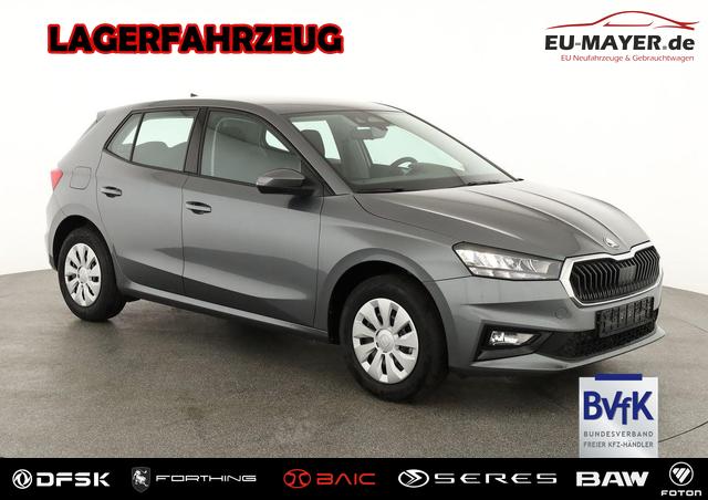 Skoda Fabia - Selection 1.0 TSI Selection, AHK, Tempomat, Ladeboden, Park, Winterpaket, SmartLink, 4-J Garantie