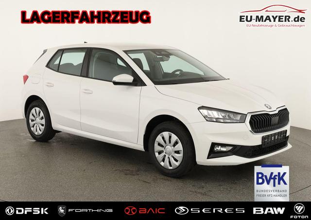 Skoda Fabia - Selection 1.0 TSI Selection, Park, SmartLink, 4 J.-Garantie