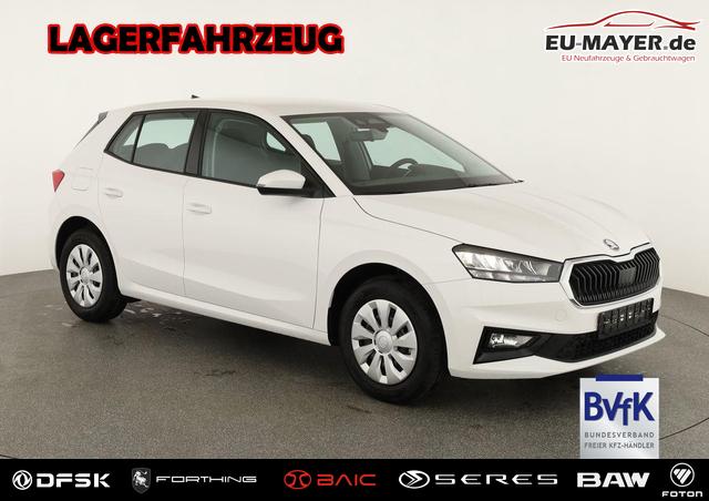 Skoda Fabia - Selection 1.0 TSI Selection, Tempomat, Park, SmartLink, 4 J.-Garantie