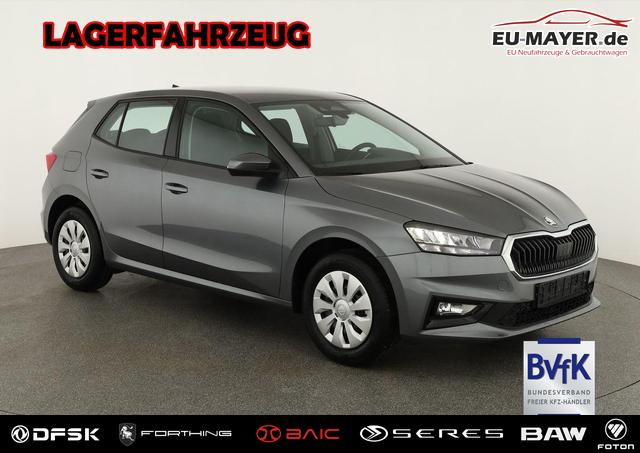 Skoda Fabia - Selection 1.0 TSI Selection, Ladeboden, Park, SmartLink, 4 J.-Garantie