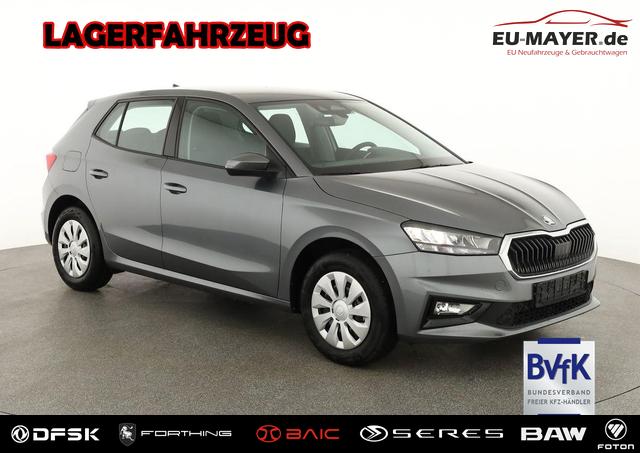 Skoda Fabia - Selection 1.0 TSI Selection, Park, SmartLink, 4 J.-Garantie