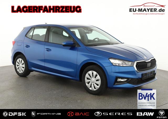 Skoda Fabia - Selection 1.0 TSI Selection, Park, SmartLink, 4 J.-Garantie