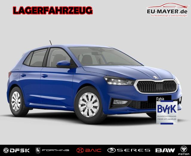 Skoda Fabia - Joy 1.0 Tsi LED DAB Klima SHZ PDC VZE