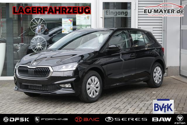Skoda Fabia - Selection 1.0 TSI LED Sitzheizung Tempomat Einparkhilfe