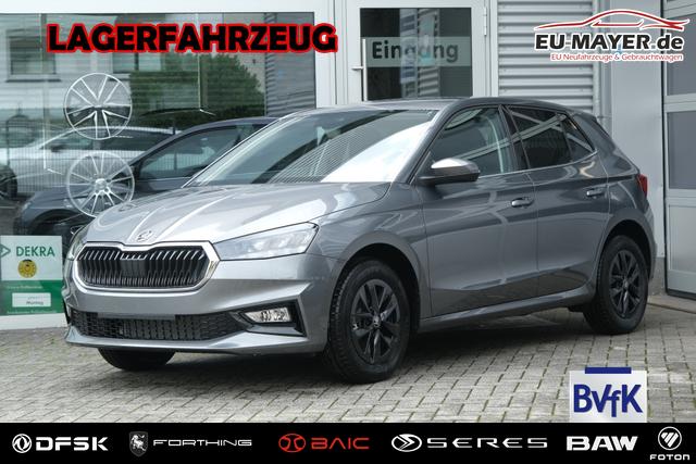 Skoda Fabia - Selection 1.0 TSI LED Kamera App-Navi PDC v+h Winterpaket