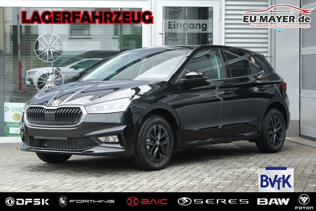 Skoda Fabia - Selection 1.0 TSI LED Kamera App-Navi PDC v+h Winterpaket