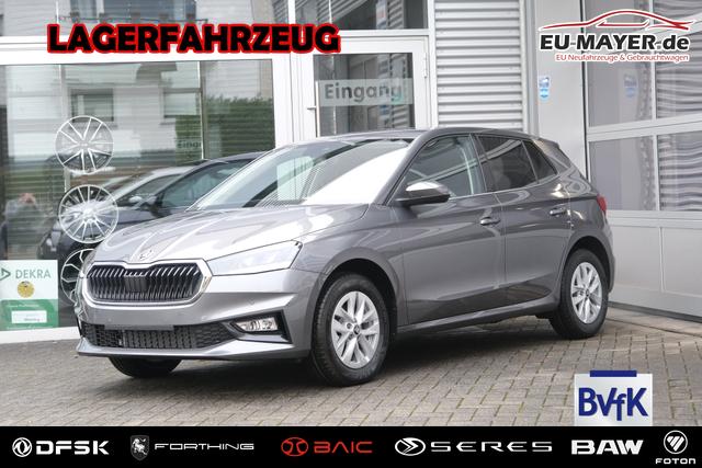 Skoda Fabia - Selection 1.0 TSI LED Kamera App-Navi PDC v+h Winterpaket