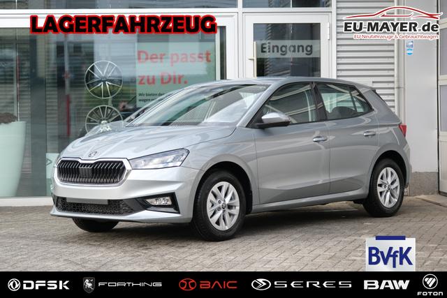 Skoda Fabia - Selection 1.0 TSI DSG LED Kamera App-Navi PDC Winterpaket