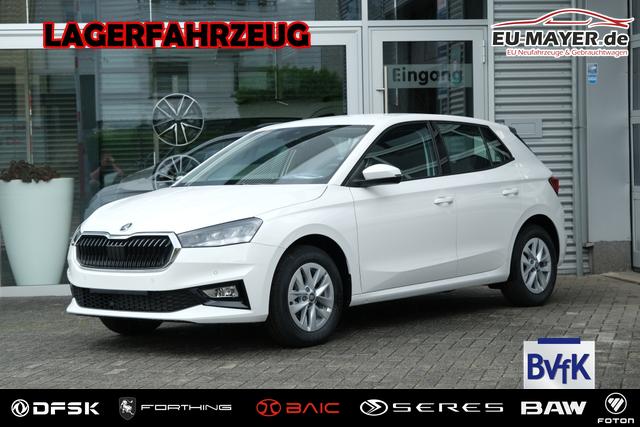Skoda Fabia - Selection 1.0 TSI AHK LED Kamera App-Navi PDC v+h Winterpaket
