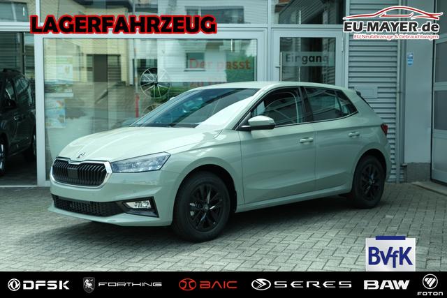 Skoda Fabia - Selection 1.0 TSI DSG LED Kamera App-Navi PDC Winterpaket